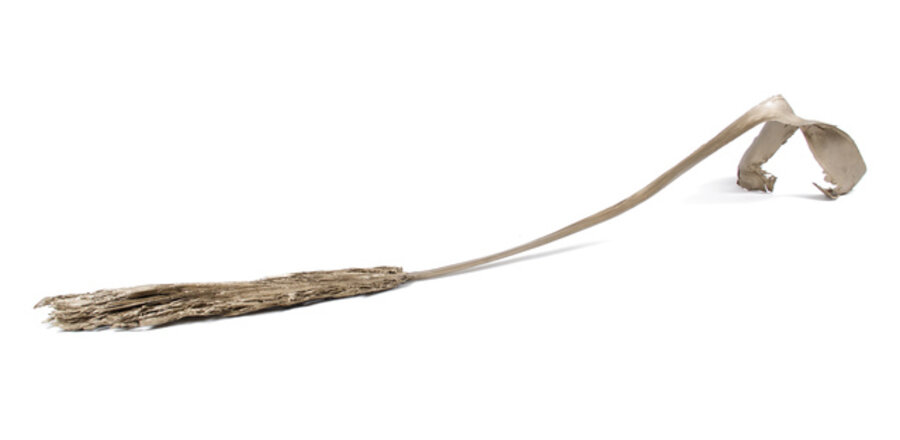 LA-LIKE: Prospecting Palm Fronds (110 S & 101 Freeway #2)