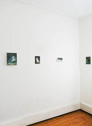 Katrine Claassens | Love Letters to the Muted World, installation view