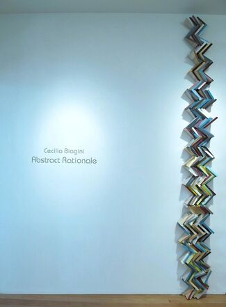 Abstract Rationale by Cecilia Biagini, installation view
