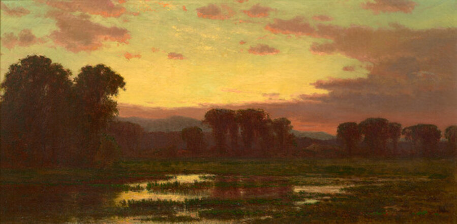 Twilight in the Marshes