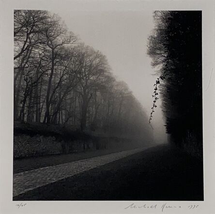 Michael Kenna, ‘Suspended Vine, Marly, France’, 1997