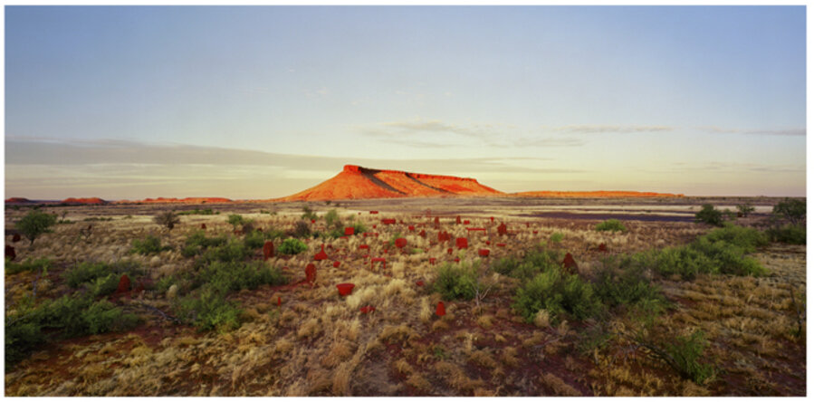 brumby mound #6