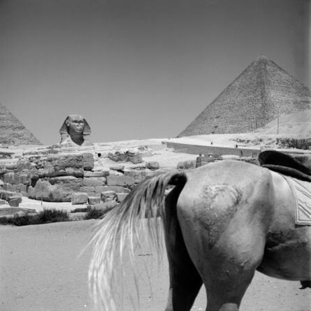 Vivian Maier, ‘Egypt’, 1959