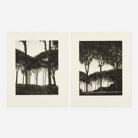 April Gornik, ‘Palatine Light; Light Through Trees (two works)’, 2002