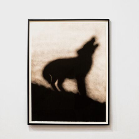 Ed Ruscha, ‘Coyote’, 1986