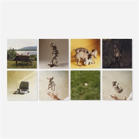 William Wegman, ‘Puppies (portfolio of eight photographs)’, 1989