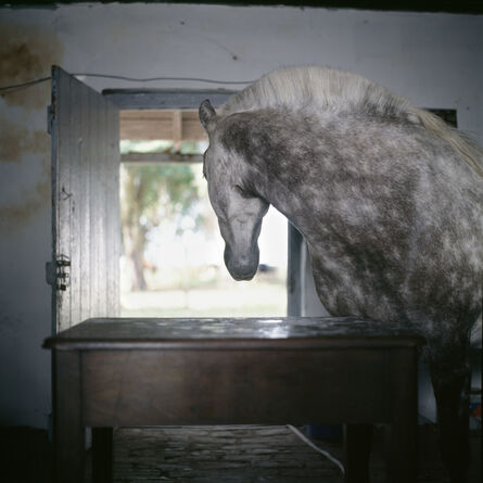 Alessandra Sanguinetti, ‘Buenos Aires Province, Argentina, 2001’, 2001