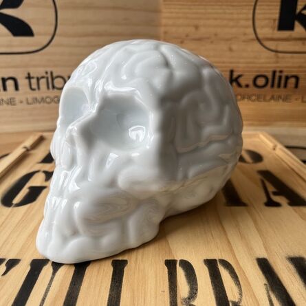 Emilio Garcia, ‘Skull Brain (White Porcelain)’, 2013