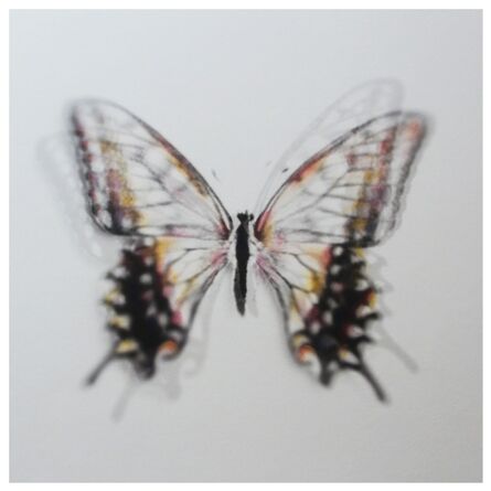 Stefania Ricci, ‘Butterfly Brux 01’, 2016