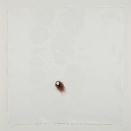 Anne Wilson, ‘Dispersions (no. 17)’, 2013