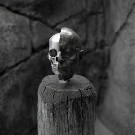 Thaddeus Holownia, ‘Human Skull ’, 2017