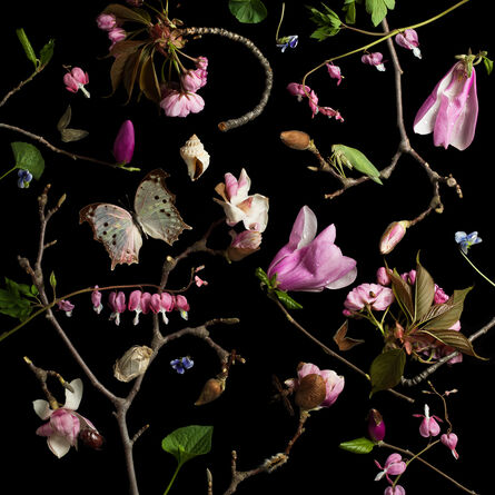 Paulette Tavormina, ‘Botanical III (Bleeding Hearts and Magnolias)’, 2013