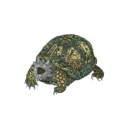 Nicholas Di Genova, ‘Hell Turtle’, 2015