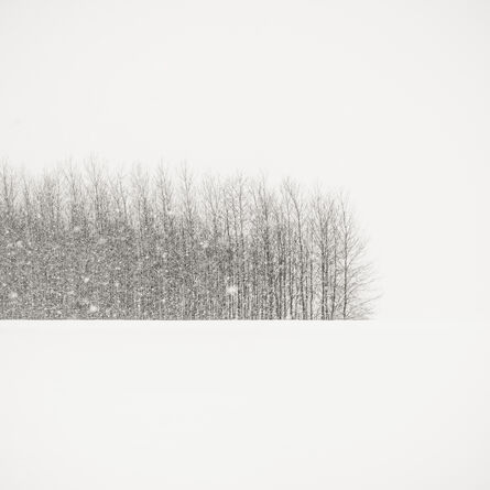 Jeffrey Conley, ‘Trees in Winter field’, 2014