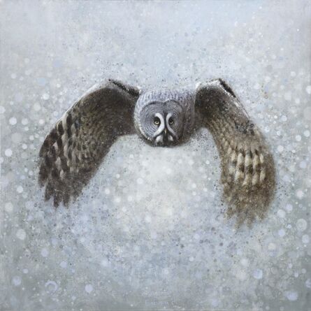 Ewoud De Groot, ‘Lapland Owl IV’