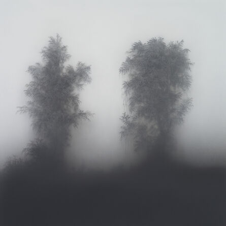 Kibong Rhee, ‘Two Kinds of Vanishment’, 2012