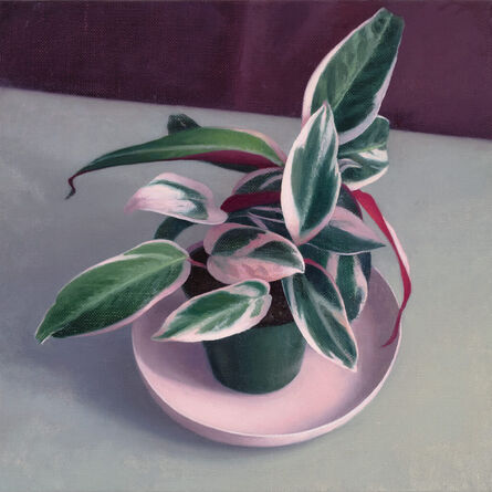 Amy Weiskopf, ‘Pink and Green Plant’, 2022