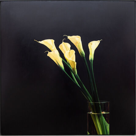 James Lahey, ‘Calla Lily - lush, dark, detailed, realist, floral, still life, oil on panel’, 2007