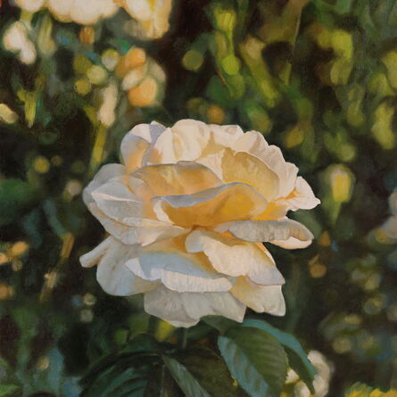 Jeffrey Vaughn, ‘A Backlit Rose’, ca. 2021