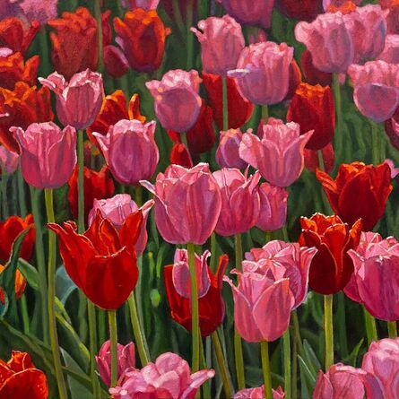 Jeffrey Vaughn, ‘Pink and Red Tulips’, 2024