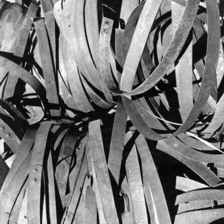 Leo Matiz, ‘Strips of Metal’, 1940s
