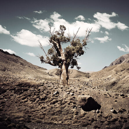 Bernhard Quade, ‘Morocco Monument Tree’, 2011
