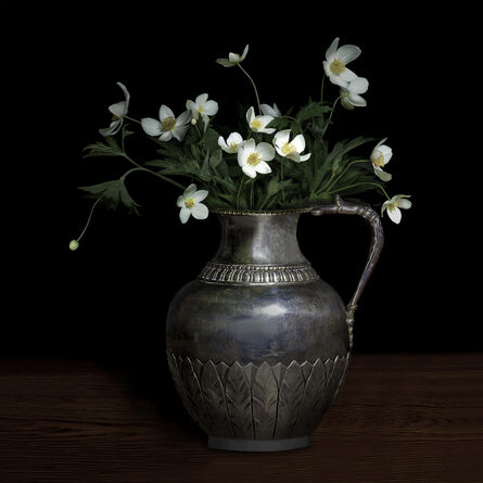 T.M. Glass, ‘Anemone Canadensis in a Silver Jug’, 2018