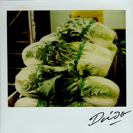 Daido Moriyama, ‘Untitled (Lettuces)’, 2008
