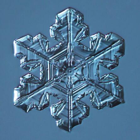 Douglas Levere, ‘Snowflake 2014.03.23.005 ’, 2014