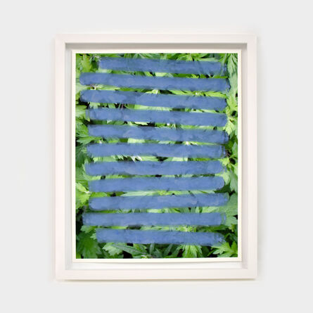 Andrew Dadson, ‘Mugwort (Chrysanthemum weed) Blue’, 2020