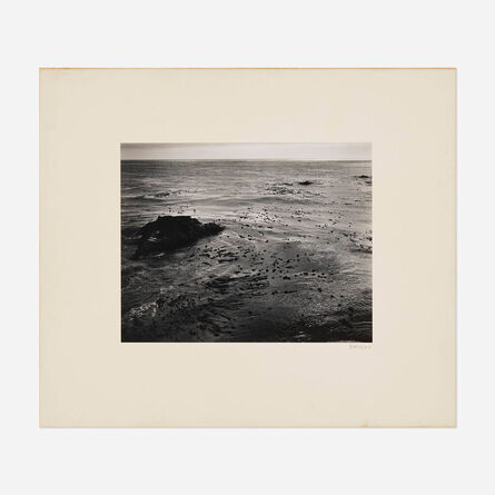 Edward Weston, ‘Sea and Kelp, Point Lobos’, 1940