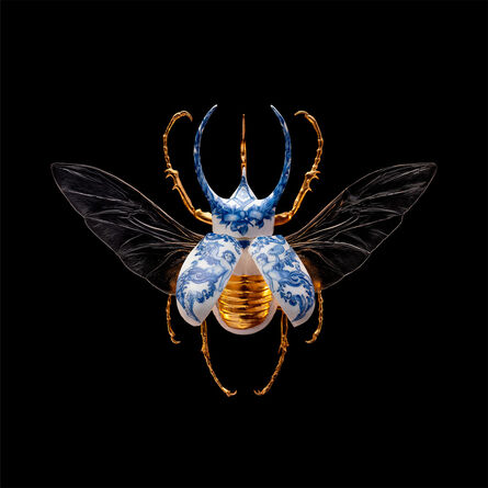 Samuel Dejong, ‘Anatomia Blue Heritage Prints, Atlas Beetle Open’, 2017-2019