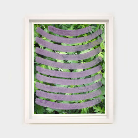 Andrew Dadson, ‘Mugwort (Chrysanthemum weed) Violet’, 2020