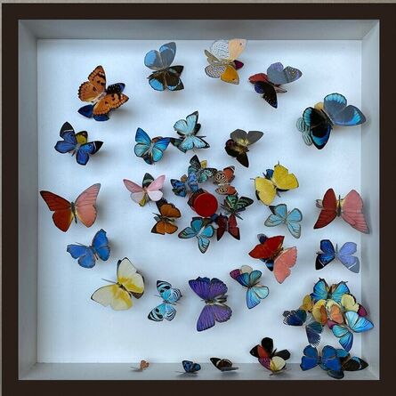 Nikki Ward, ‘Butterflies & Pot 2’, 2022