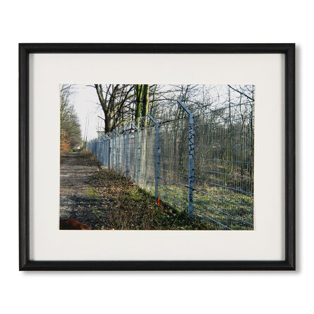 Gerhard Richter, ‘Zaun’, 2010