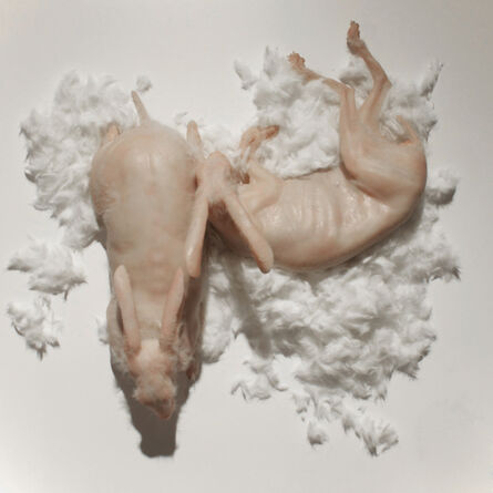 Shen Shaomin, ‘I Sleep On Top Of Myself (Two Rabbits)’, 2012