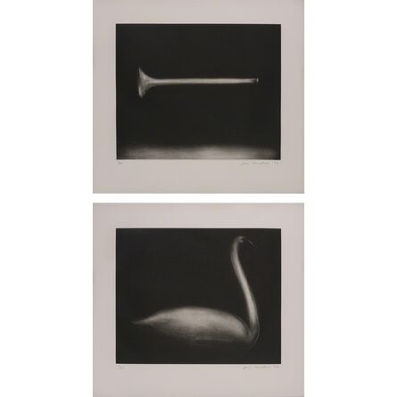 Joe Andoe, ‘HORN; SWAN’, 1992