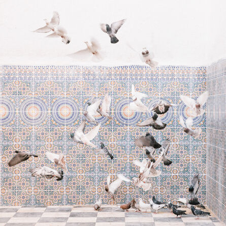 M'hammed Kilito, ‘Aves Pacis’, 2018