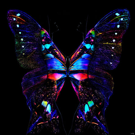 Giuliano Bekor, ‘Butterfly 24’, 2018