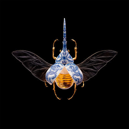 Samuel Dejong, ‘Anatomia Parvus Prints, Hercules Beetle Open’, 2020