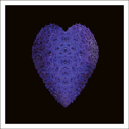 Carlos Betancourt, ‘Purple Heart’, 2011