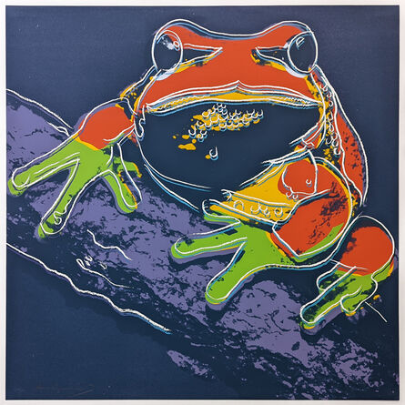 Andy Warhol, ‘PINE BARRENS TREE FROG FS II.294’, 1983