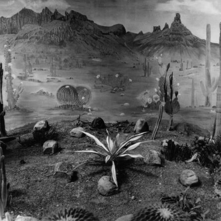 Graciela Iturbide, ‘Jardín botánico, Lucknow, India’, 1999