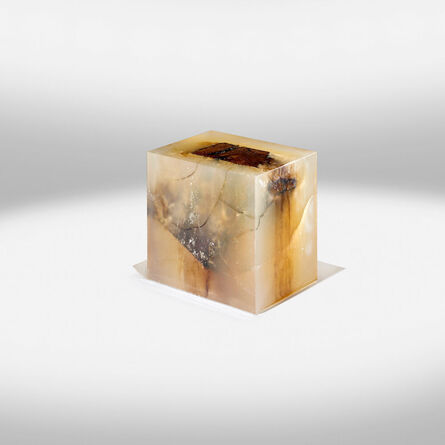 Nucleo, ‘Wood Fossil Solid’, 2013