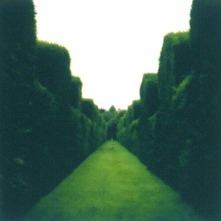 Lynn Geesaman, ‘Misderden Park, England (7-00-1c-5-c)’, 2000