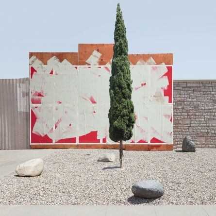 Lauren Marsolier, ‘Pine Against painted Background’, 2014