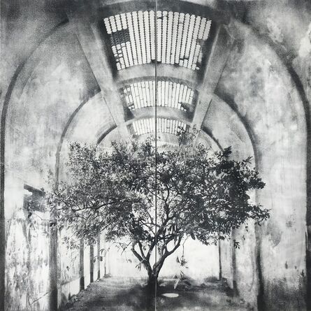Tomás Ochoa, ‘Lemon Tree’, 2019