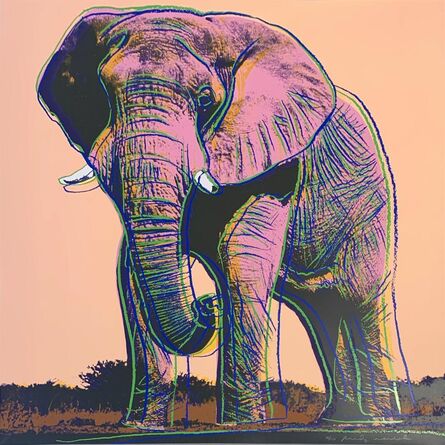 Andy Warhol, ‘African Elephant II.293’, 1983