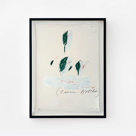 Cy Twombly, ‘Natural History Part II: Some Trees of Italy (Laurus Nobilis)’, 1976