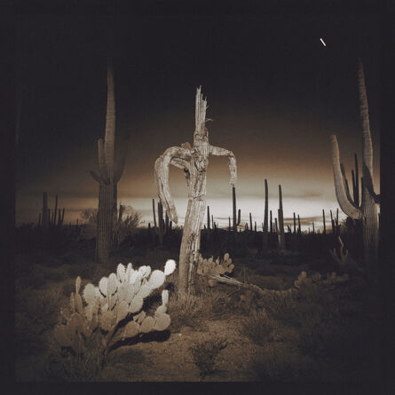 Richard Misrach, ‘Saguaro Cactus’, 1975